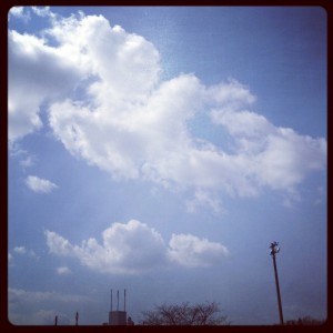 冬空